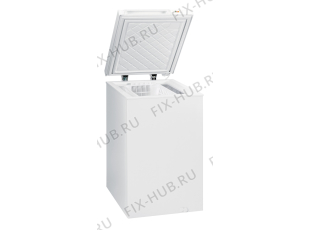 Холодильник Gorenje RAZ-FH13CW (328604, ZS1406) - Фото